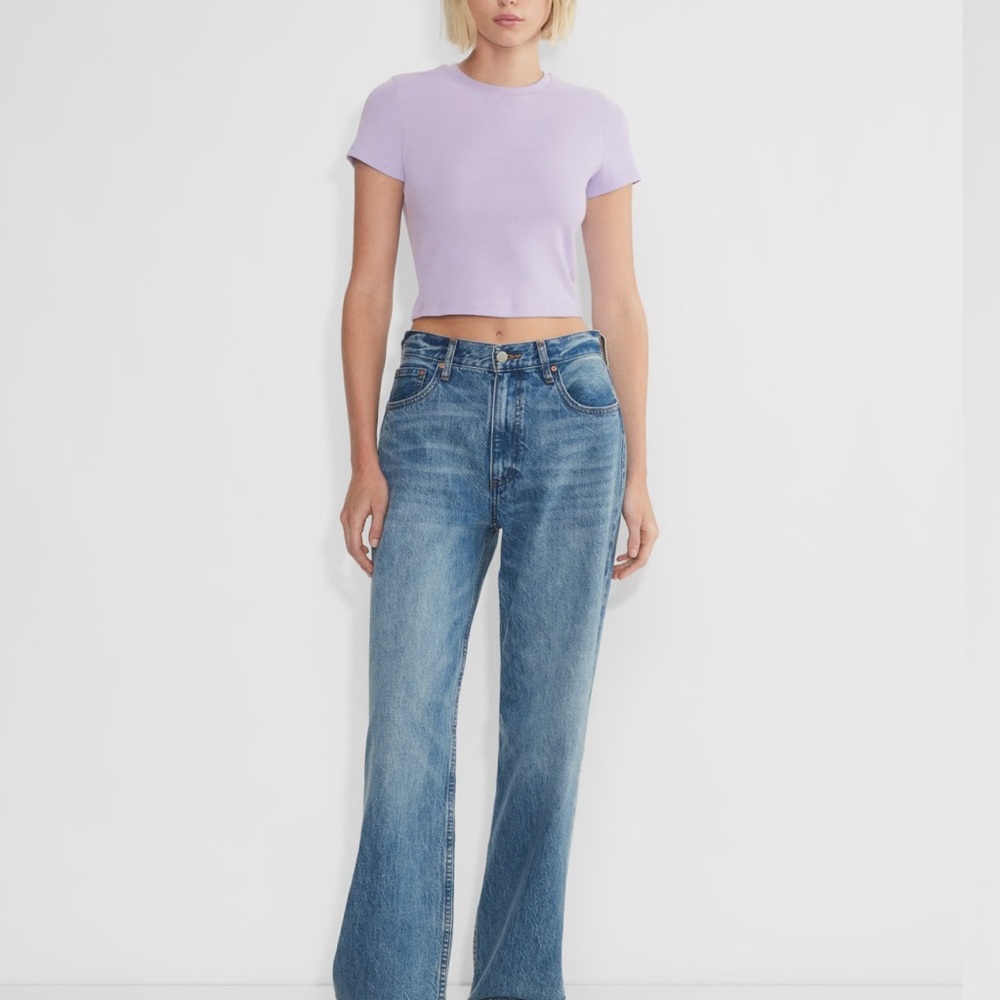 Aritzia Light Purple Baby Tee